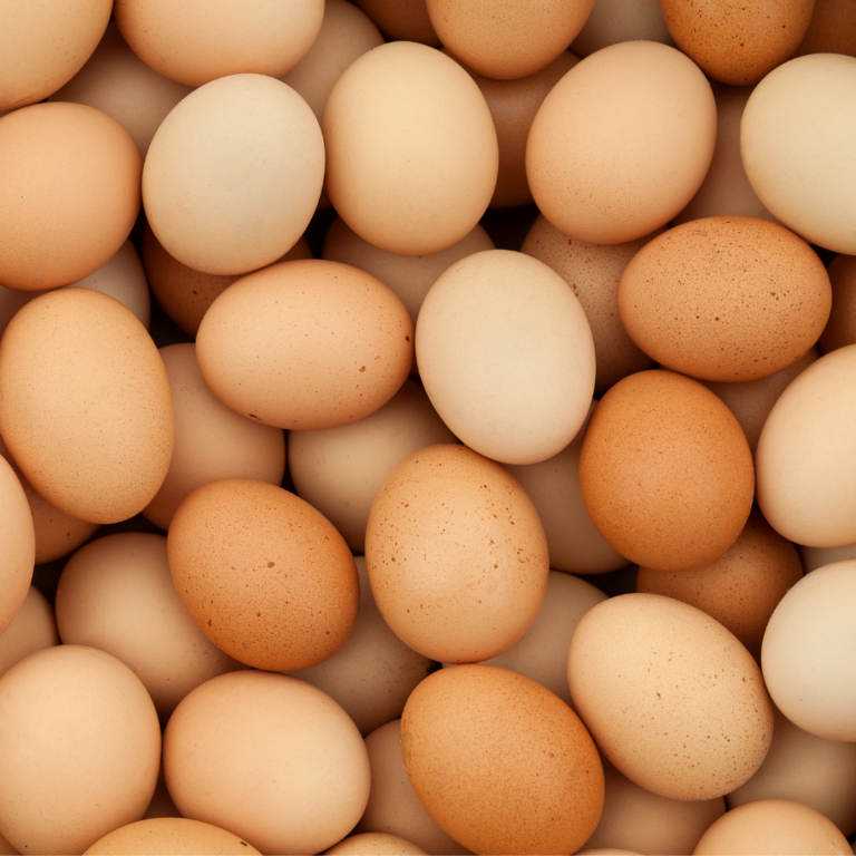 Marlton Retail Space The Chicken or The Egg Restaurant Now Open in